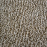carpetswalltowall.com
